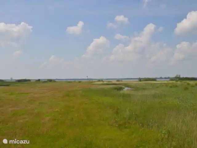 los coulisses en Países Bajos, Frise, Eastermar - casa vacacional Ambiente.