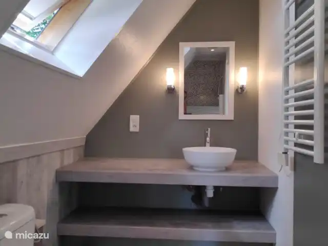 Gîte du Bois II - Maison van Stijn | France, Puy-de-Dôme, Égliseneuve-d'Entraigues - gîte / cottage Salle de bain Gite du Bois II - Maison van Stijn