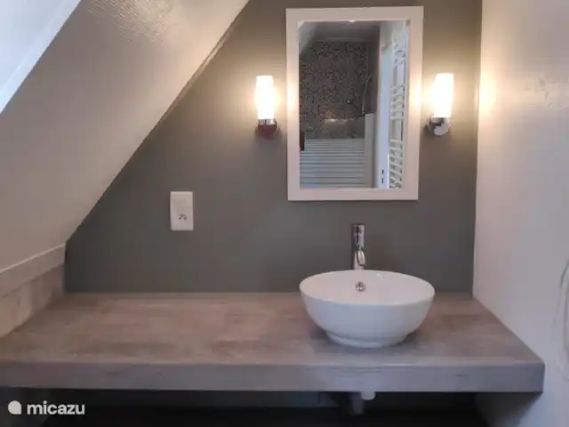 Gîte du Bois II - Maison van Stijn | France, Puy-de-Dôme, Égliseneuve-d'Entraigues - gîte / cottage Salle de bain Gite du Bois II - Maison van Stijn