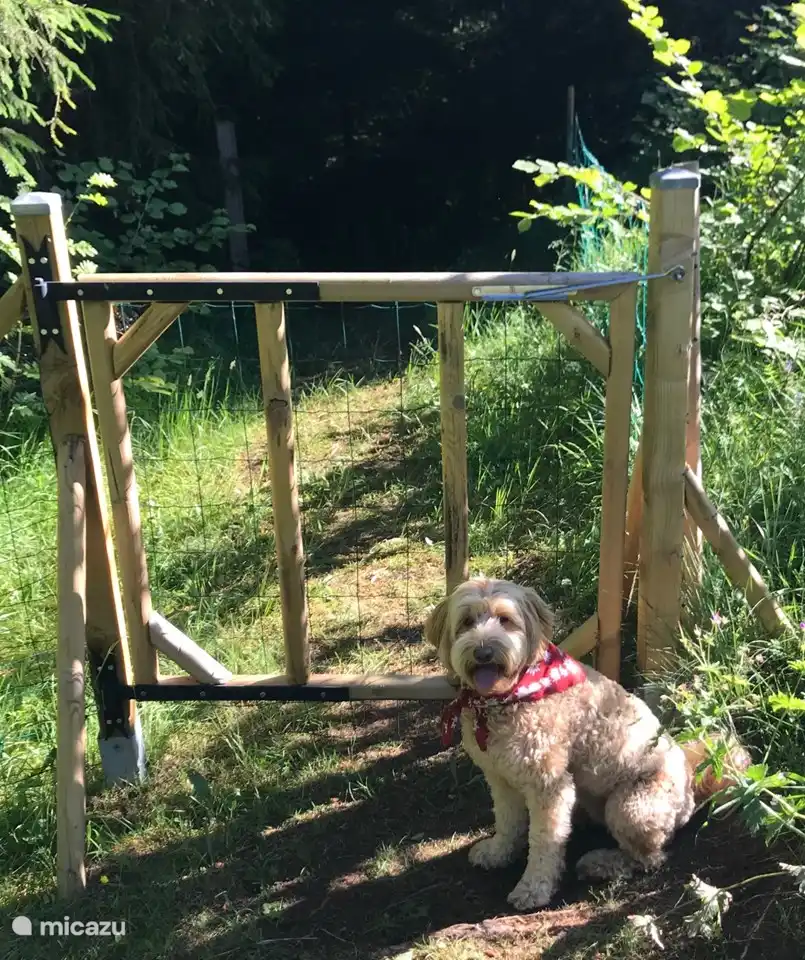 Eingezäunter Garten ca. 4.000m2 - Maison van Stijn