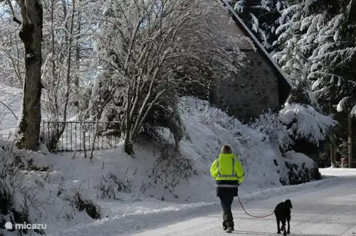 Auch für den Wintersport mit Ihrem Hund - Maison van Stijn