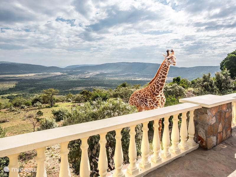 Vakantiehuis Kenia, Wildparken, Masai Mara Game Reserve Villa Aitong Crater House