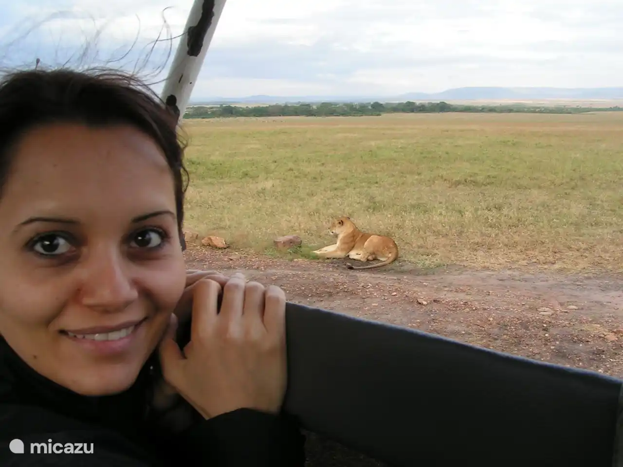 Löwen neben dem Auto