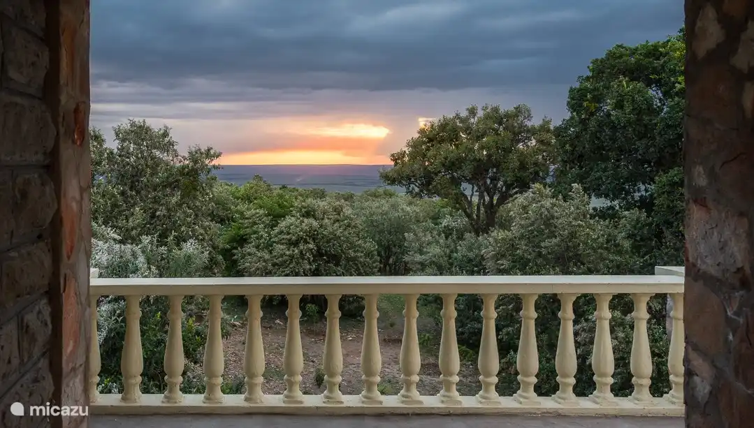Ansicht von hinten: Masai Mara