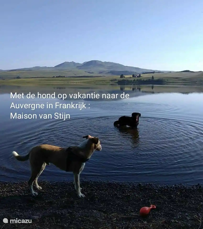 Urlaub mit dem Hund in der Auvergne in Frankreich: Maison van Stijn
