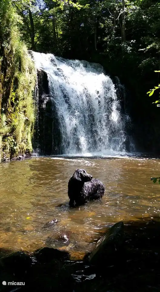 Wasserfall nur wenige Gehminuten von der Unterkunft entfernt - Maison van Stijn