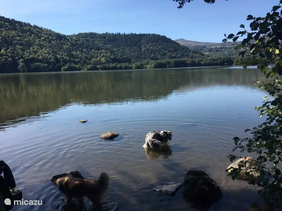 Herrliche Seen in unmittelbarer Nähe für Besitzer und Hunde - Maison van Stijn