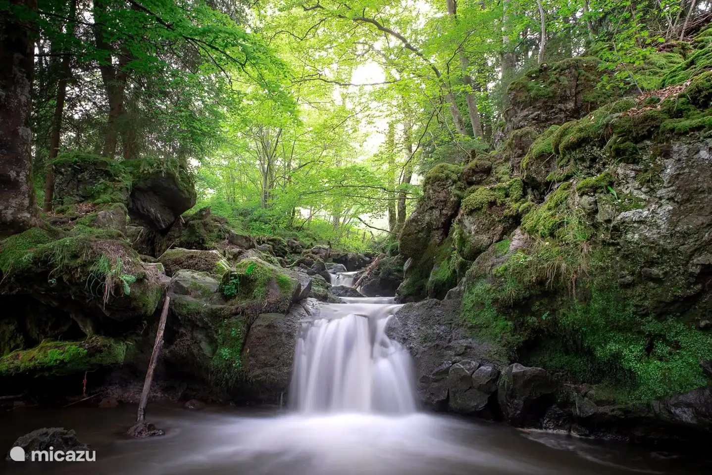 Wasserfälle, Flüsse, Seen, Wälder, Wiesen, Berge und Vulkane. Schön das ganze Jahr!