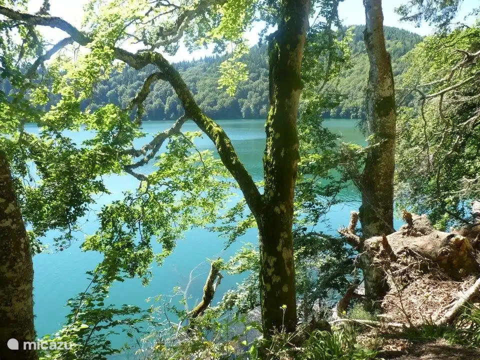 Wasserfälle, Flüsse, Seen, Wälder, Wiesen, Berge und Vulkane. Schön das ganze Jahr!