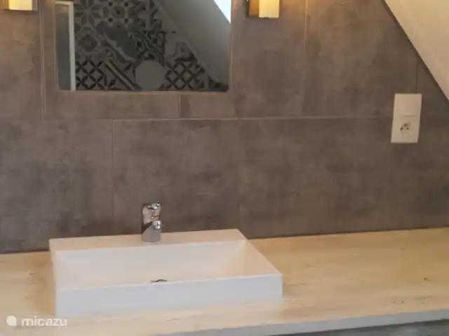 Gîte du Bois I - Maison van Stijn | France, Puy-de-Dôme, Égliseneuve-d'Entraigues - gîte / cottage Salle de bain Gite du Bois I - Maison van Stijn