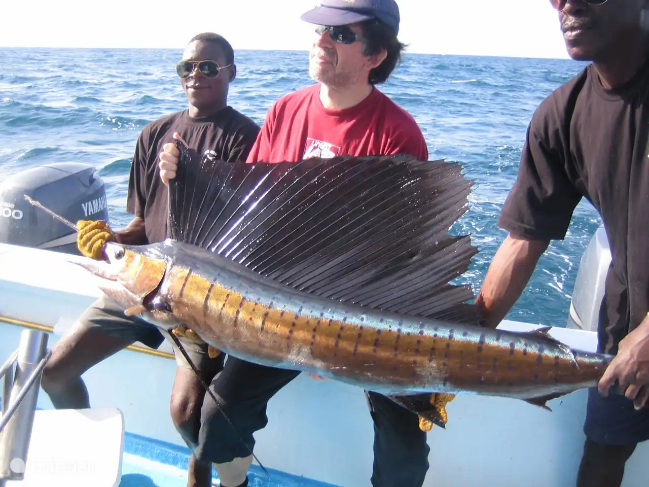 Segelfischangeln in der nahe gelegenen Stadt (15 km)