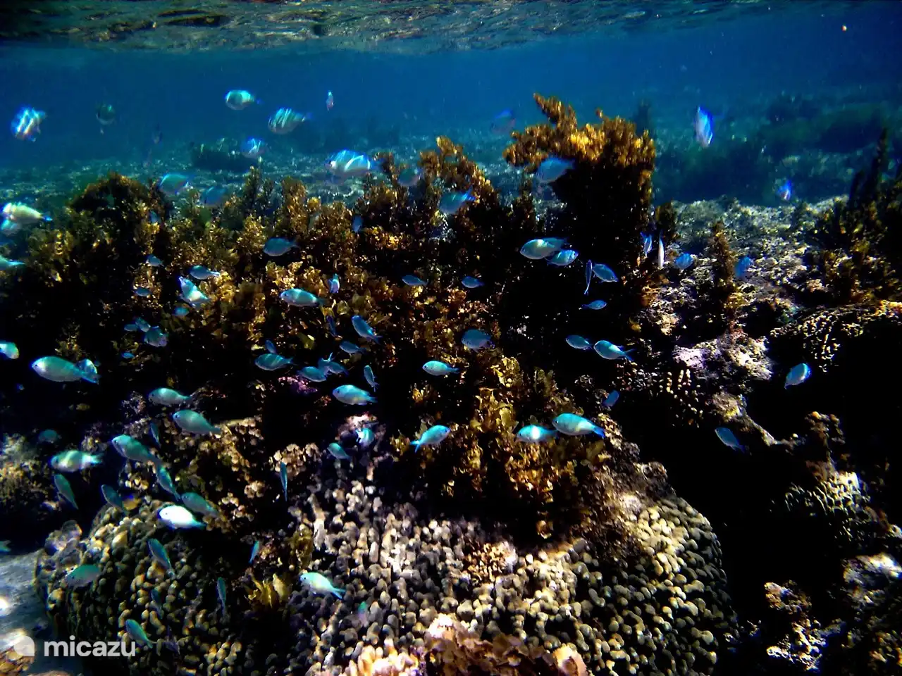 die obere Terrasse mit Blick auf Gärten, Meer und Strand