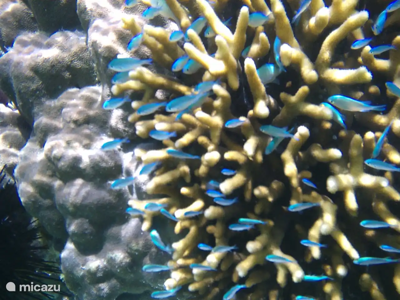 die obere Terrasse mit Blick auf Gärten, Meer und Strand