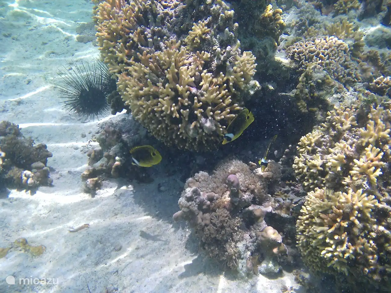 die obere Terrasse mit Blick auf Gärten, Meer und Strand
