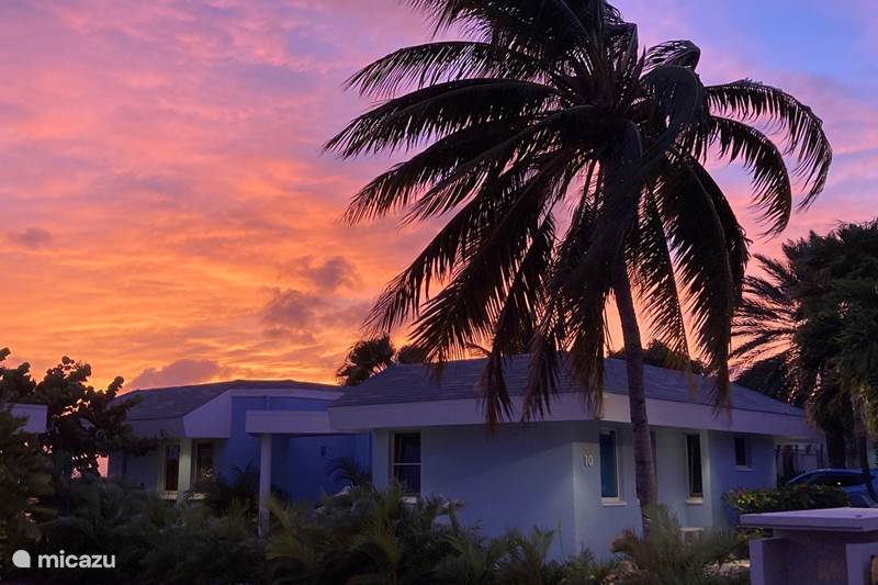 Ferienwohnung Curaçao, Banda Ariba (Ost), Mambo Beach Ferienhaus Casa Blou Meerblick