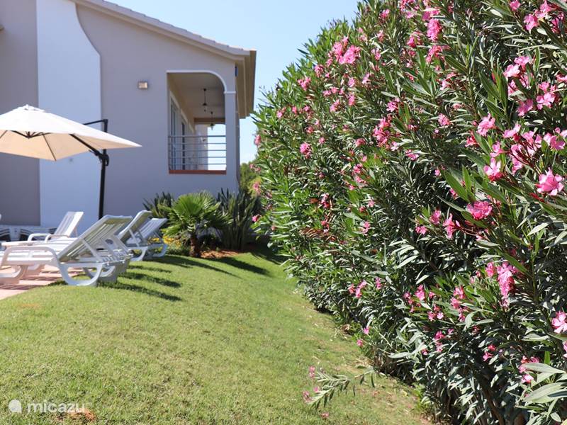 Vakantiehuis Portugal, Algarve, Almancil Villa Villa Vale do Lobo