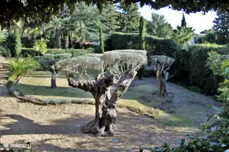 Vakantiehuis Frankrijk, Côte d´Azur, Les Issambres villa Villa l'Estiou