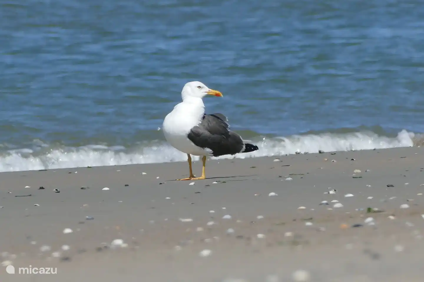 Strand 20 Minuten mit dem Fahrrad entfernt