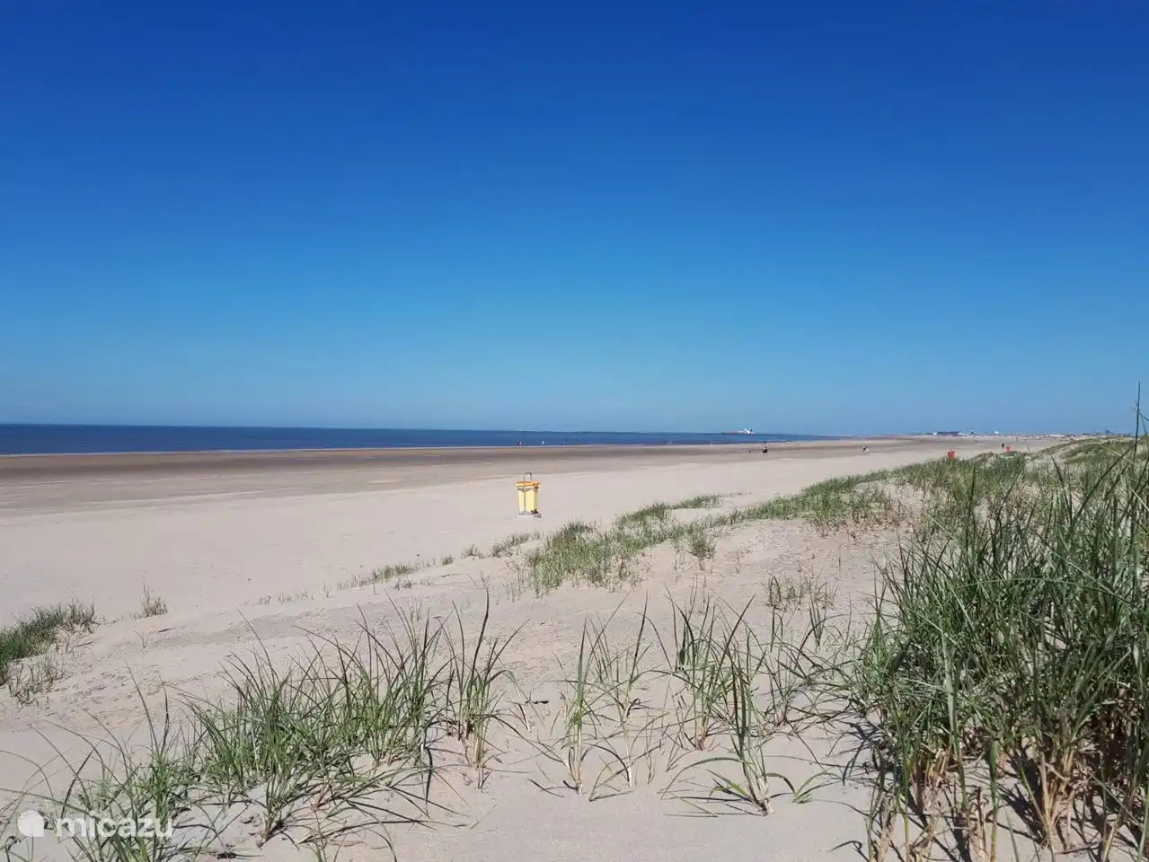 Dünen und ruhiger Strand