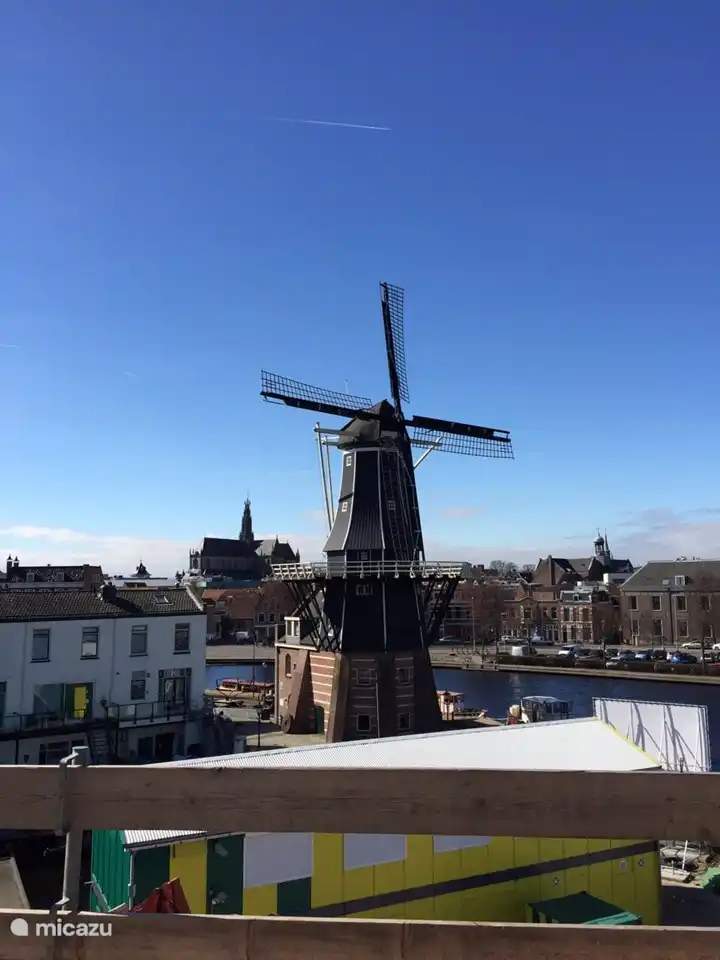 die Adriaan Mühle in Haarlem