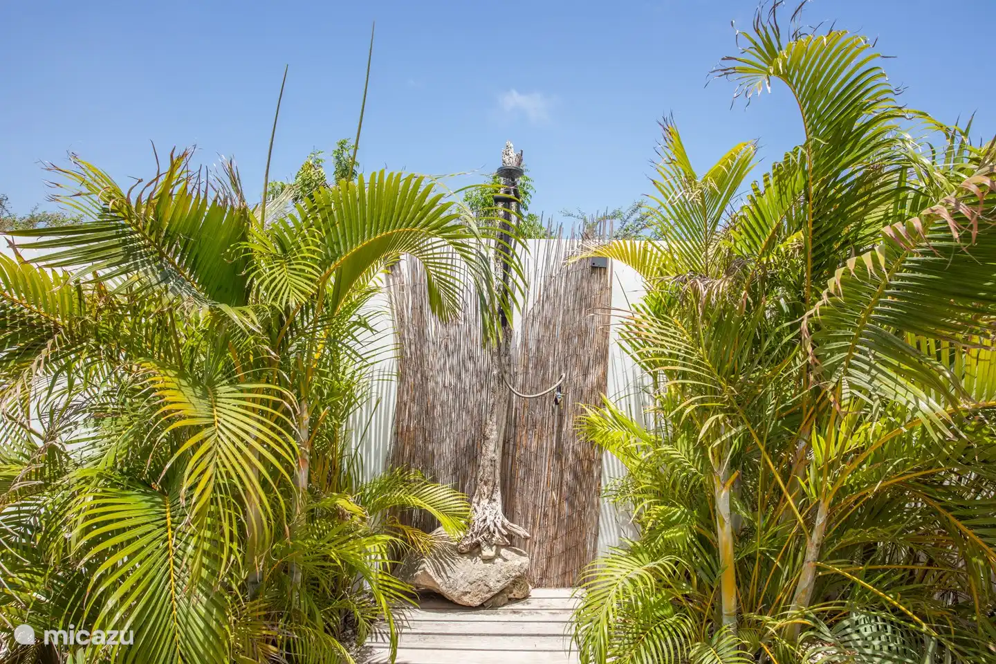 Tropical outdoor shower to cool off