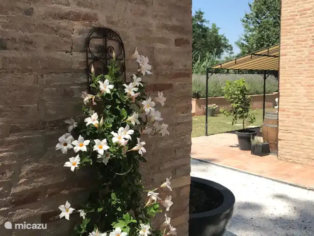 Il Posto Perfetto-appartement Monti huren in Italië, Marche, Santa Maria Nuova - appartement doorkijkje vanaf de waterput