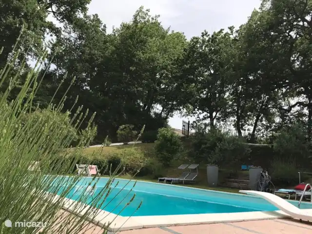 Il Posto Perfetto-appartement Monti huren in Italië, Marche, Santa Maria Nuova - appartement in en rondom het zwembad is de favoriete plek van de gasten