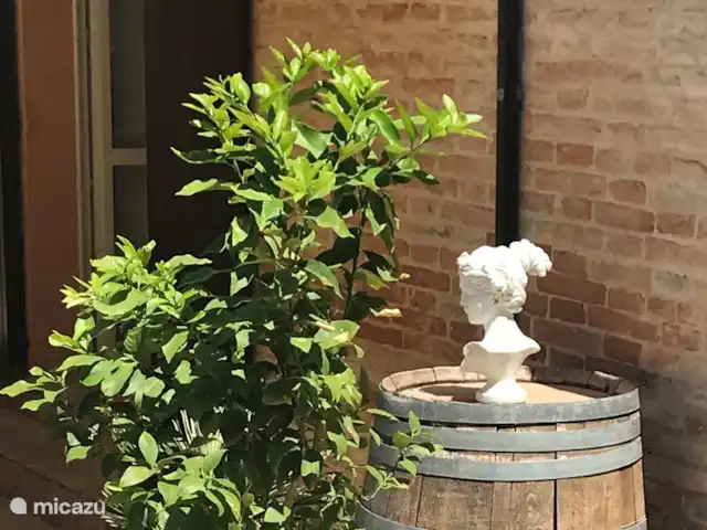 Il Posto Perfetto-appartement Monti huren in Italië, Marche, Santa Maria Nuova - appartement ... leuk plekje onder het terras