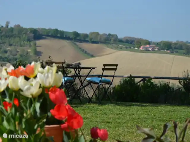 Il Posto Perfetto-appartement Monti huren in Italië, Marche, Santa Maria Nuova - appartement ook in Italie zijn er tulipani