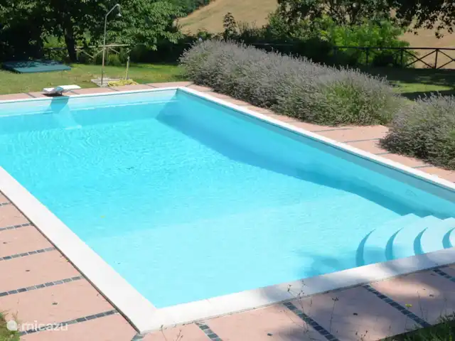 Il Posto Perfetto-appartement Monti huren in Italië, Marche, Santa Maria Nuova - appartement het prachtige zwembad van 12 bij 6 meter. Daar genieten alle gasten van