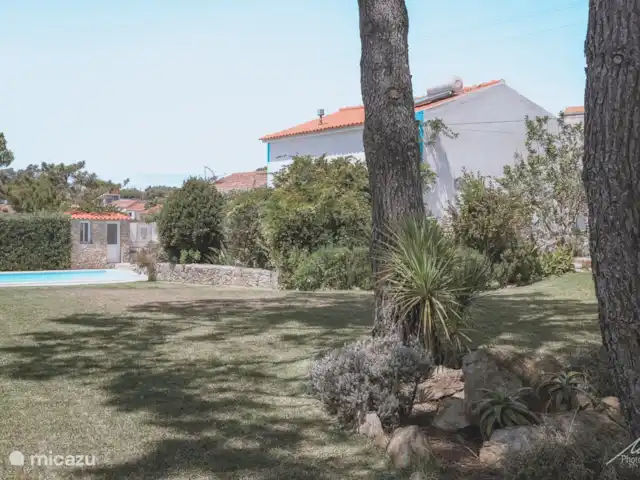 Quinta Charlotte | Portugal, Costa de Prata, Boa Vista - villa Le jardin.