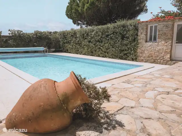 Quinta Charlotte | Portugal, Costa de Prata, Boa Vista - villa Cruche à la piscine.