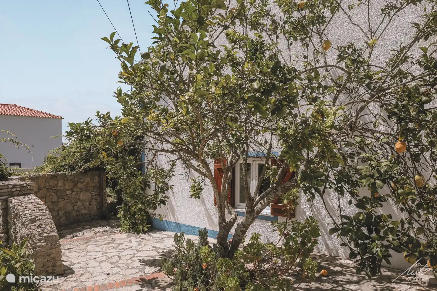 Citroenboom en doorgang naar woning.