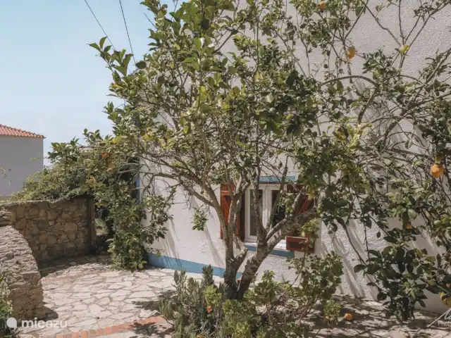Quinta Charlotte | Portugal, Costa de Prata, Boa Vista - villa Citronnier et passage à la maison.