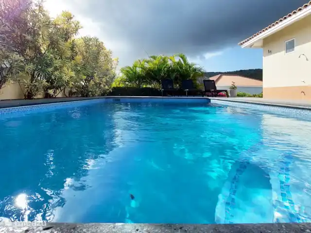 Bunita Blenchi huren in Curaçao, Banda Abou (west), Fontein - villa Prive zwembad van 6,5 x 4,5 meter waar u zich lekker kan verkoelen. Op de 6 ligbedden kan u lekker relaxen en zonnen.'
Om het zwembad is veel natuurlijke begroeiing. Dit zorgt voor veel privacy