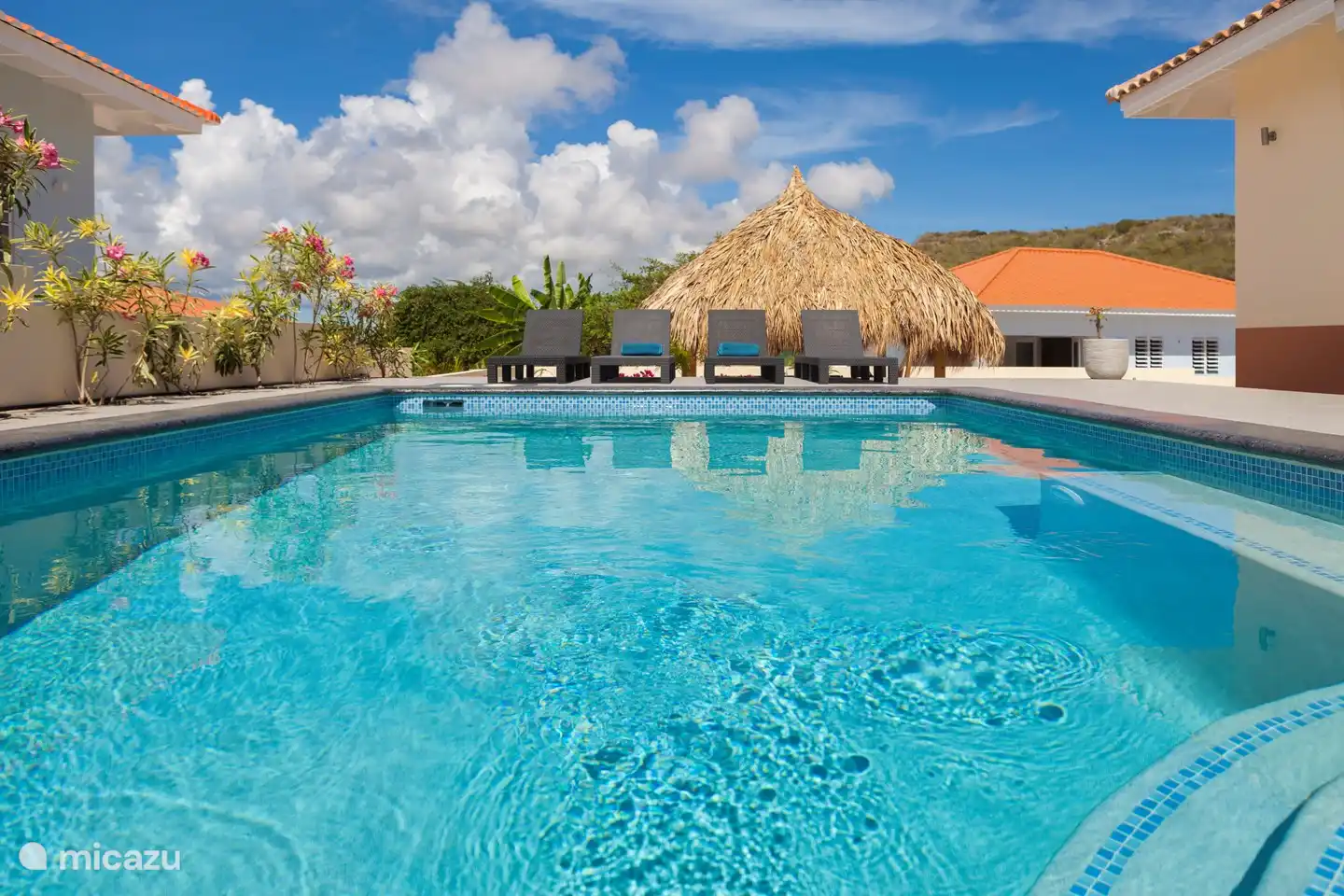 Desde el porche se mira la espaciosa piscina. Aquí puedes refrescarte. También hay una ducha al aire libre junto a la piscina.