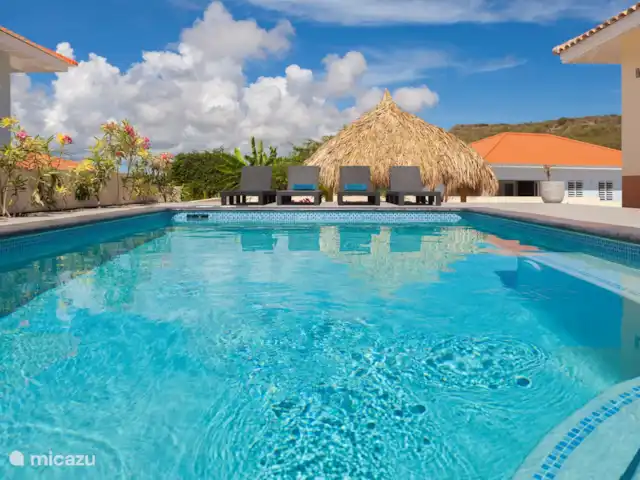 Bunita Blenchi huren in Curaçao, Banda Abou (west), Fontein - villa Vanuit de porch kijkt u op het ruime zwembad. Hier kunt u lekker afkoelen. Ook een buitendouche is bij het zwembad aanwezig