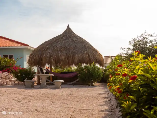 Bunita Blenchi huren in Curaçao, Banda Abou (west), Fontein - villa De Palapa met de loungeset in de met veel planten begroeide tuin