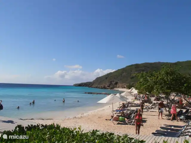 Bunita Blenchi huren in Curaçao, Banda Abou (west), Fontein - villa Een van de mooiste stranden in de omgeving Porto Mari. Vanuit onze woning 5 minuten met de auto