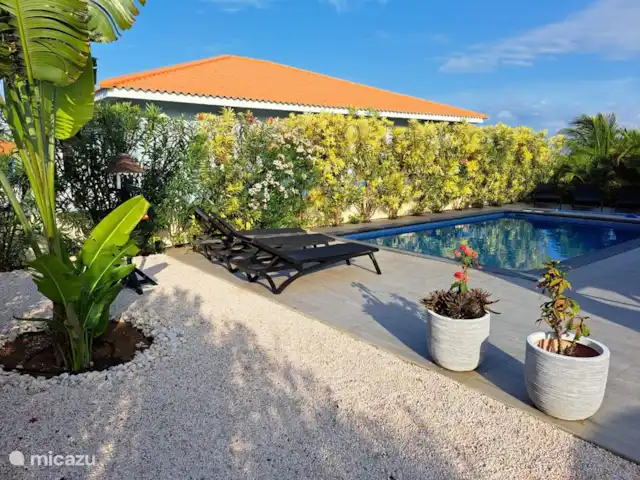 Bunita Blenchi huren in Curaçao, Banda Abou (west), Fontein - villa De mooi begroeide tuin geeft veel privacy bij het zwembad. Het is ook een mooi zicht en geeft een mooie sfeer. Het is heerlijk om zo te kunnen relaxen