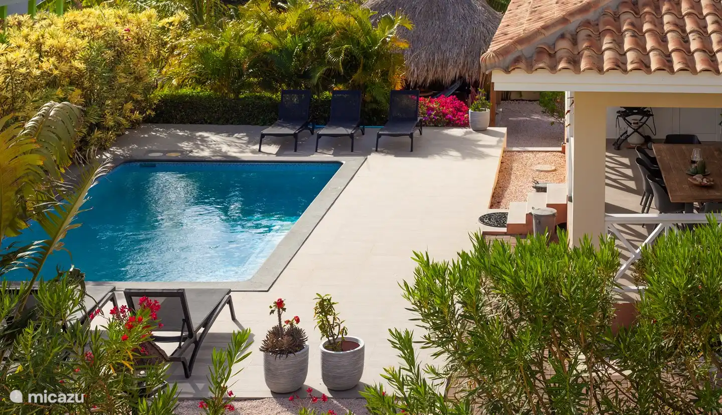 La vegetación de la piscina asegura que puedas relajarte en la intimidad de las 6 tumbonas