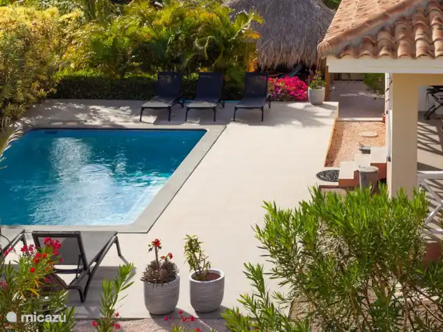 Bunita Blenchi huren in Curaçao, Banda Abou (west), Fontein - villa De begroeiing bij het zwembad, zorgt dat u in privacy lekker kunt relaxen op de 6 ligbedden