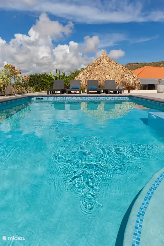 Piscina privada de 6,5 x 4,5 metros donde poder refrescarse. Podrás relajarte y tomar el sol en las 6 tumbonas