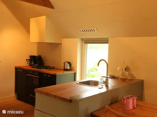 Location de Vacances Pays-Bas, Drenthe, Dwingeloo, maison de vacances - Maison d'hôtes Lheederhof Lodge 3 pavillon de cuisine 3