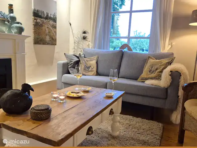 Location de Vacances Pays-Bas, Gueldre, Hulshorst (lac Veluwe), villa - Vacances de rêve Veluwe Détendez-vous au coin du feu. Il y a un canapé et de bonnes chaises