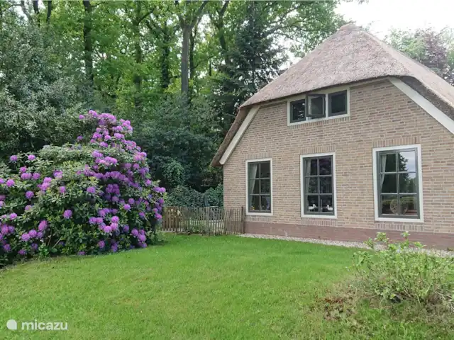 Location de Vacances Pays-Bas, Gueldre, Hulshorst (lac Veluwe), villa - Vacances de rêve Veluwe Cette photo montre un morceau du jardin de devant (mai 2020). En été, les hortensias fleurissent magnifiquement ! Au printemps le grand Rhododendron. Il fait donc beau à chaque période de l'année.