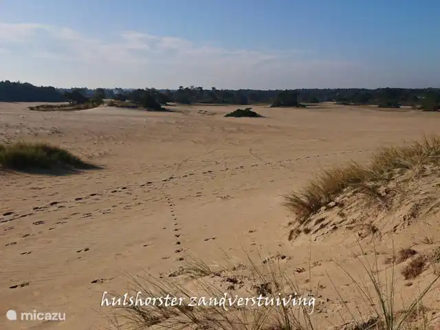 Location de Vacances Pays-Bas, Gueldre, Hulshorst (lac Veluwe), villa - Vacances de rêve Veluwe dérive de sable à proximité