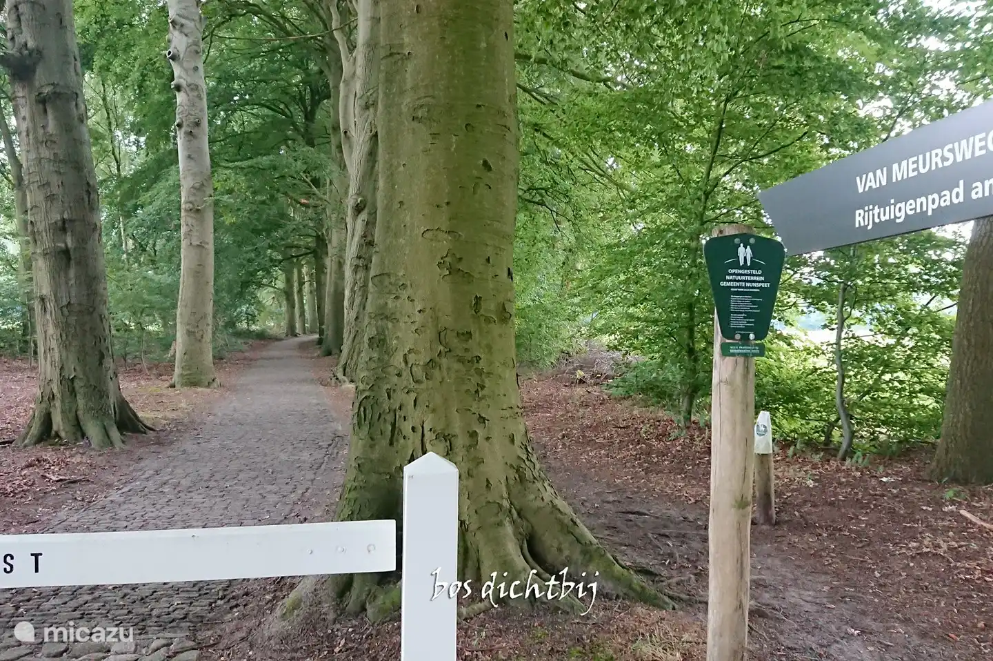 Der Wald ist zu Fuß erreichbar