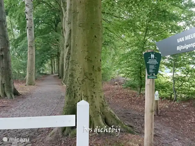 Location de Vacances Pays-Bas, Gueldre, Hulshorst (lac Veluwe), villa - Vacances de rêve Veluwe la forêt est accessible à pied