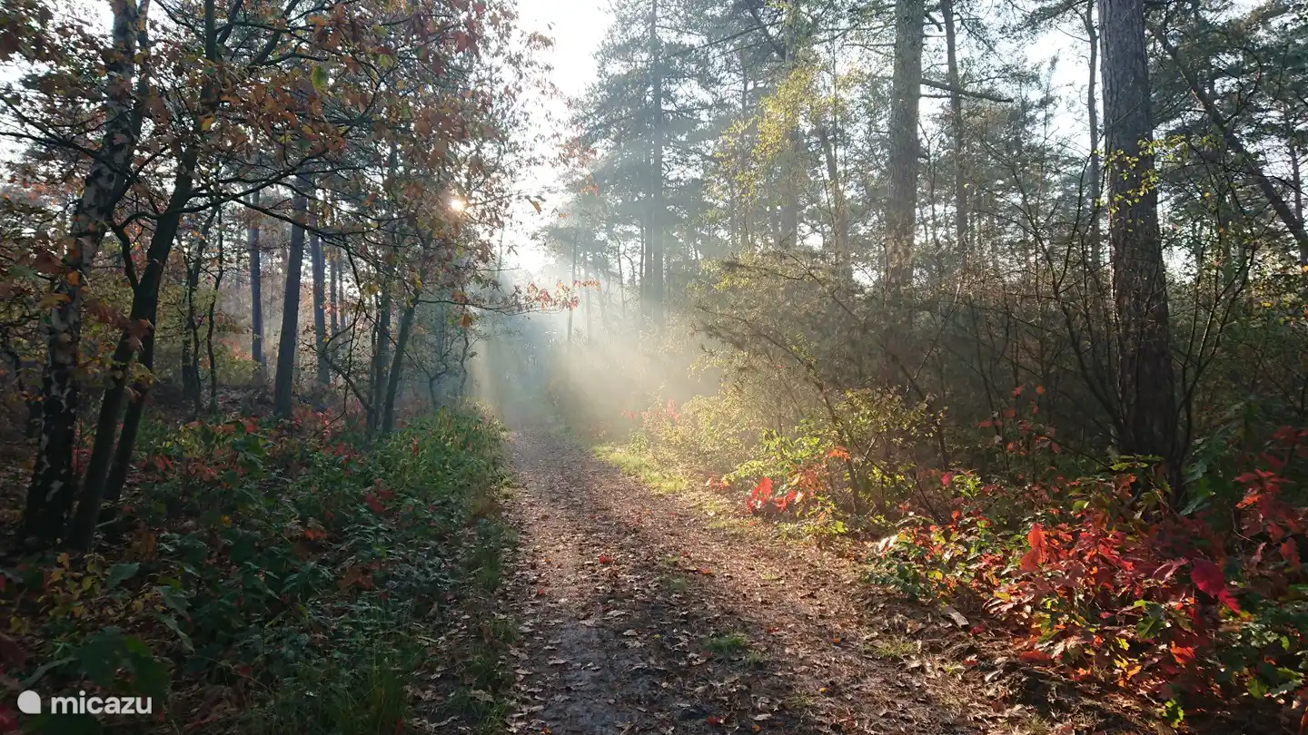 Schönes Licht im Herbst und Frühling (Foto 2020)